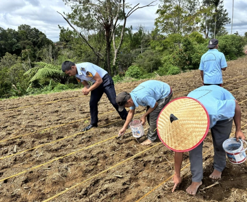Optimalisasi Program Asimilasi Edukasi, Rutan Kelas IIB Sidikalang Laksanakan Kegiatan Penanaman Jagung - NavigasiVisual