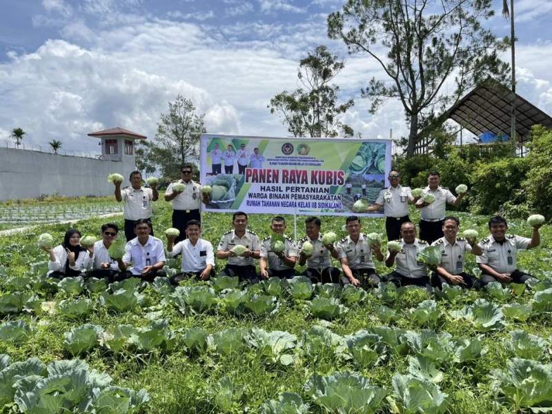 Wujudkan Ketahanan Pangan,  Rutan Sidikalang Gelar Panen Raya Kubis Tahun 2026 - navigasivisual.id