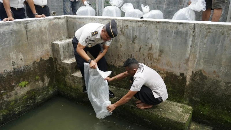 Dari Lapas untuk Ketahanan Pangan: Panen 300 Kg Kangkung Hidroponik dan Pelepasan 10.000 Bibit Ikan Nila Perkuat Pembinaan Kemandirian - NavigasiVisual