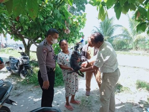 Hewan Milik Warga Disuntik Vaksin Rabies. Foto: Redaksi.